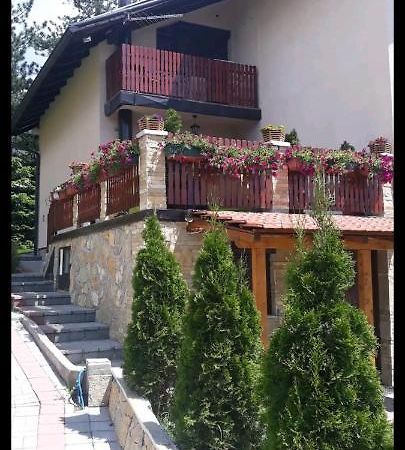Apartment Niva Zlatibor Extérieur photo