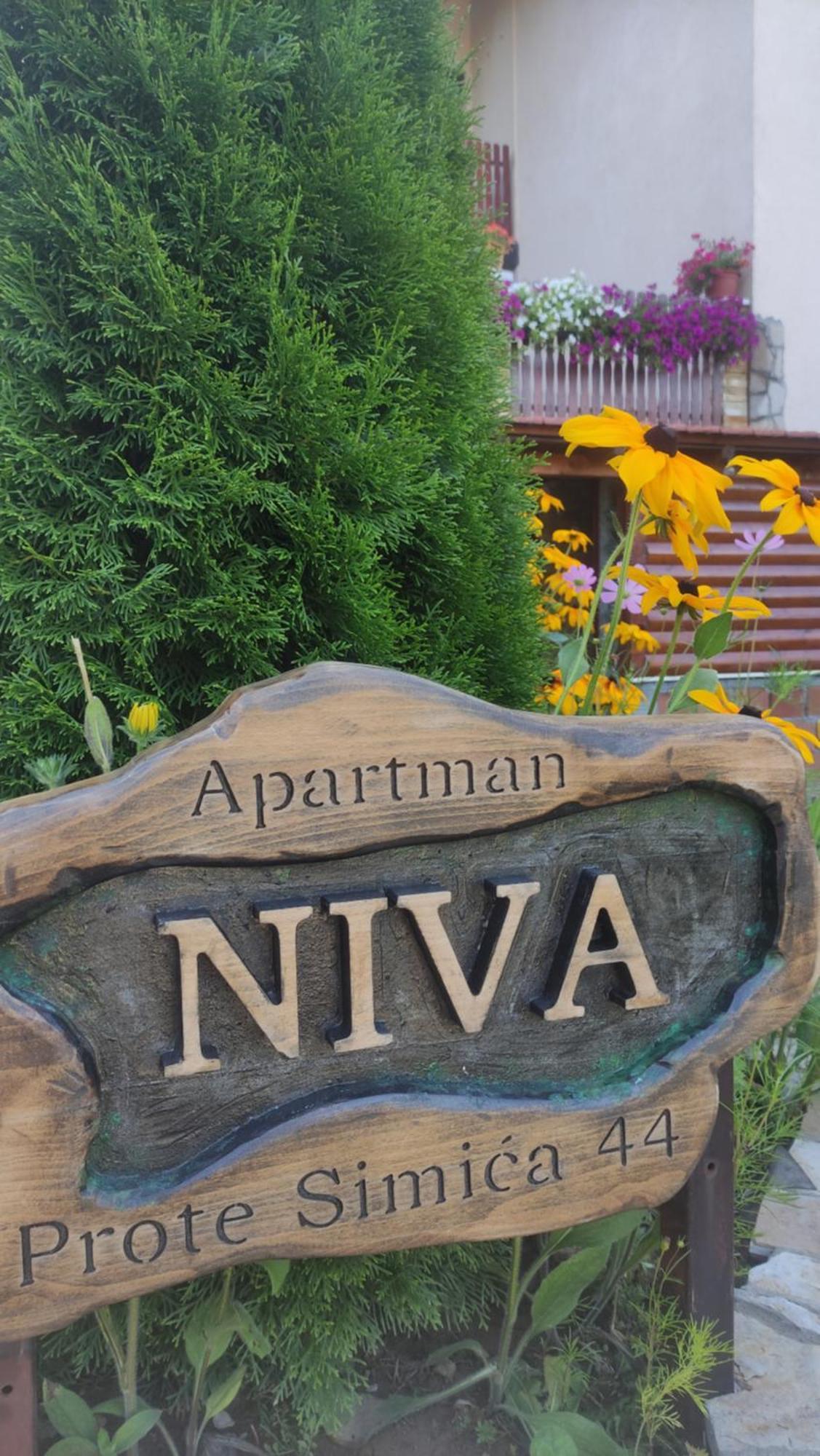 Apartment Niva Zlatibor Extérieur photo